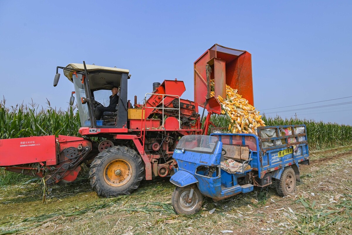 英虎四行玉米收割机新款,河北英虎四行玉米收割机