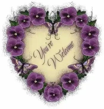 520送你最美的玫瑰花,520把最美的祝福送给幸福的你