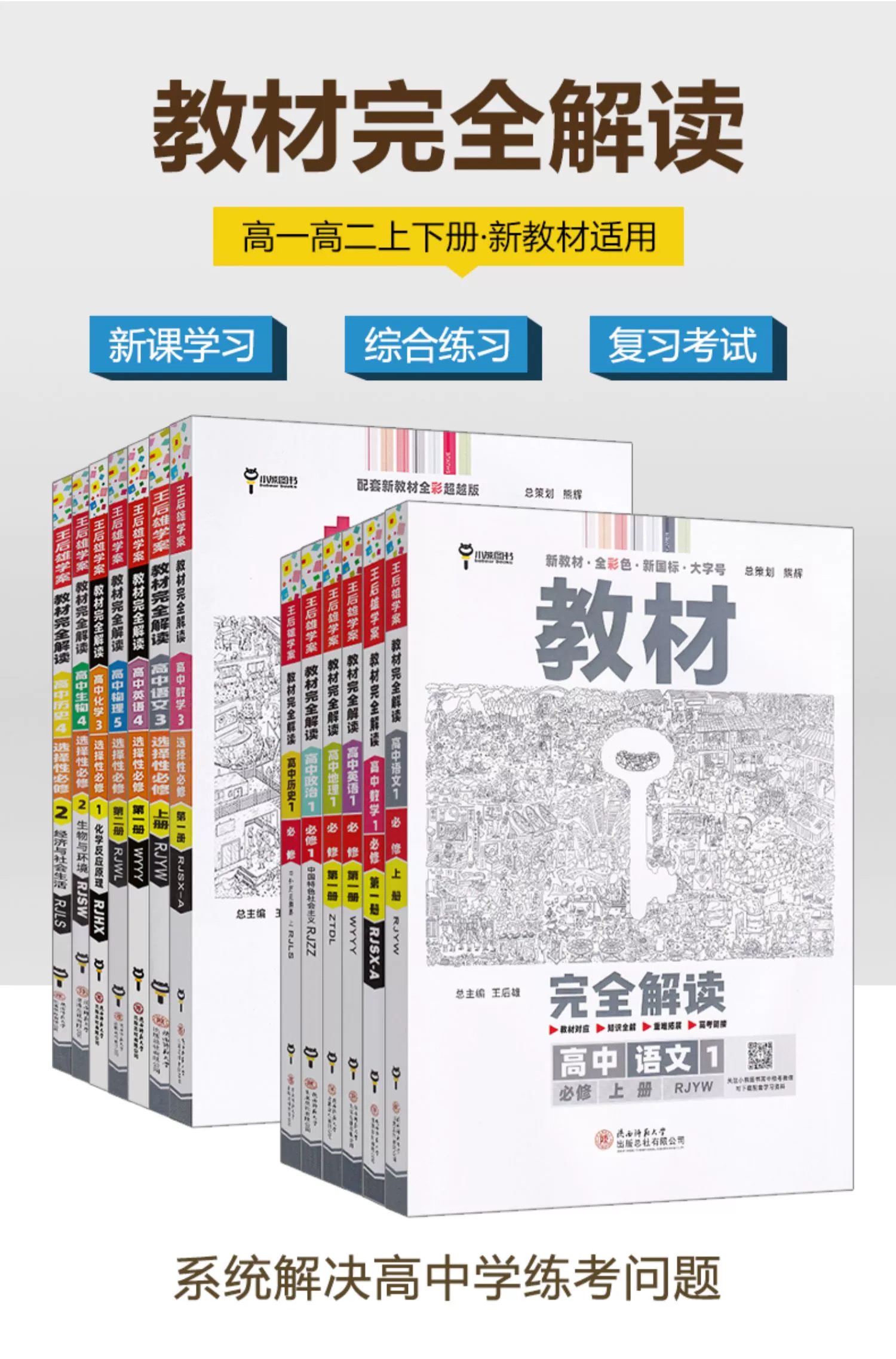 新教材2024教材完全解读高中