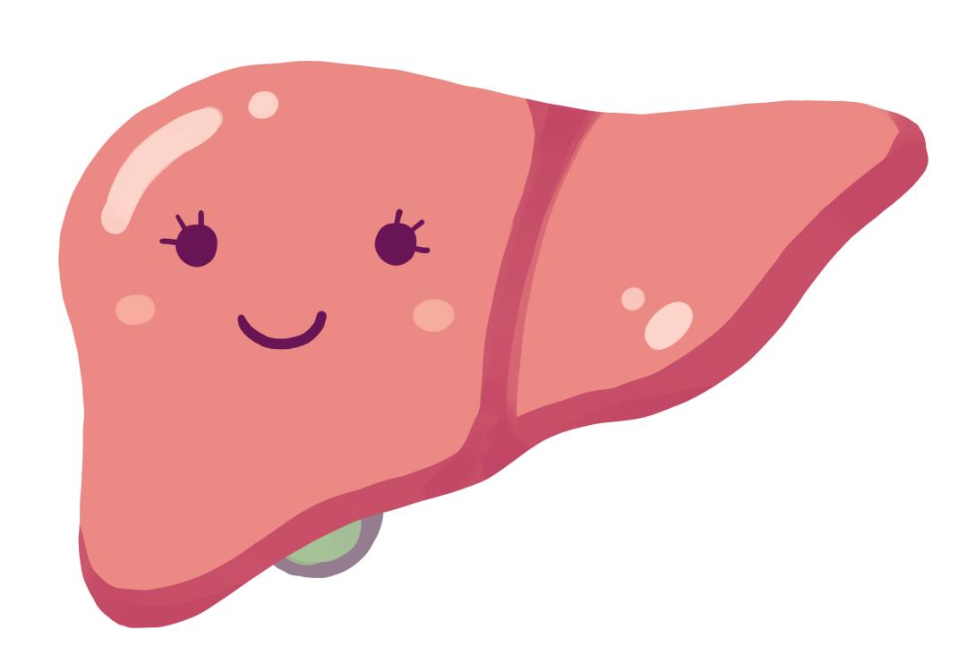 体检肝钙化或结石,体检查出肝钙化是怎么回事