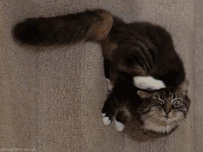 痒痒肉指的是哪里,痒痒肉是哪