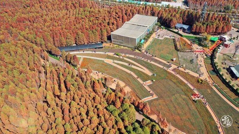 迈开脚步看风景别辜负昆明好风光,带你看云南昆明美景