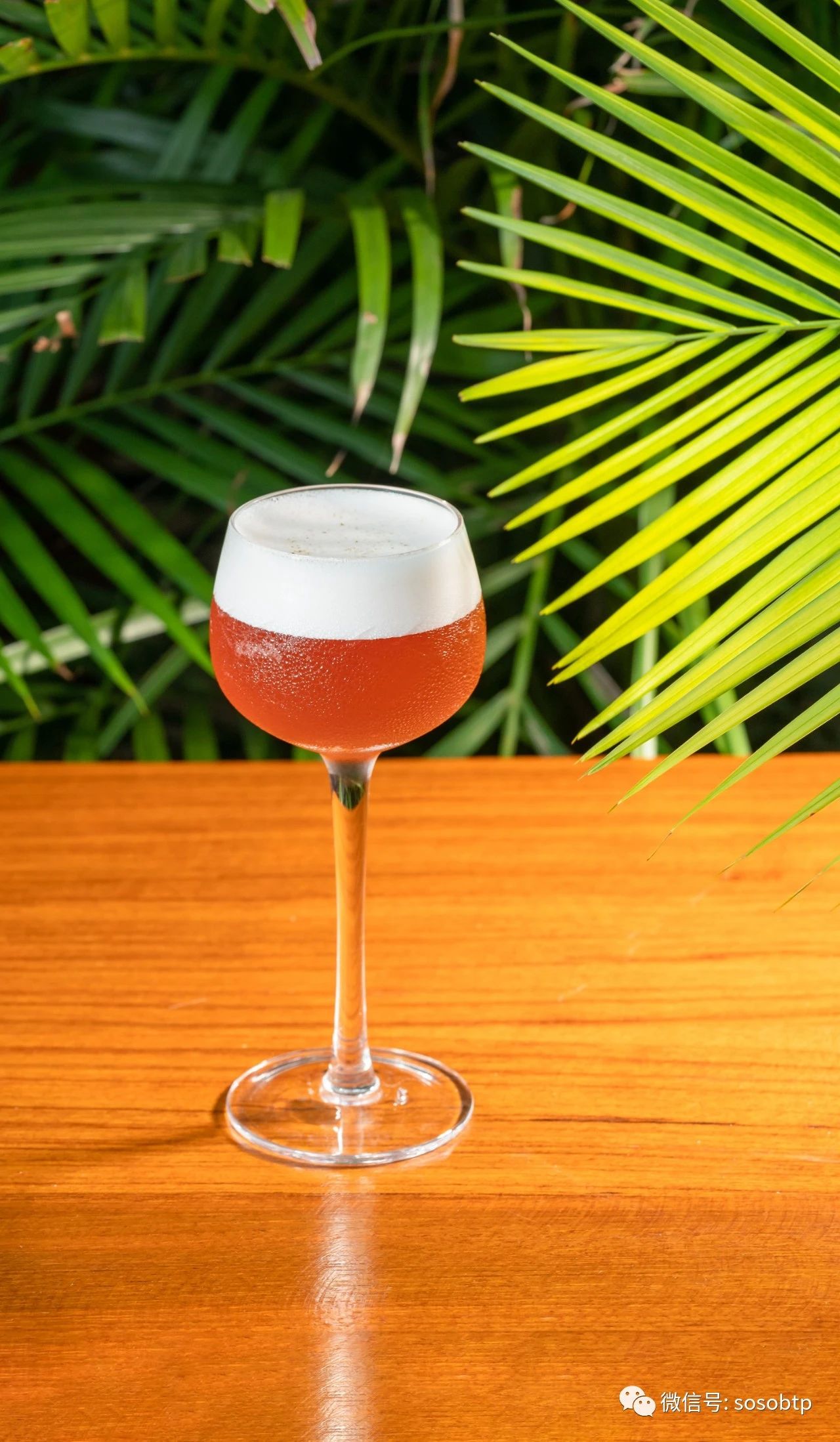 柏悦鸡尾酒,广州柏悦酒店优惠