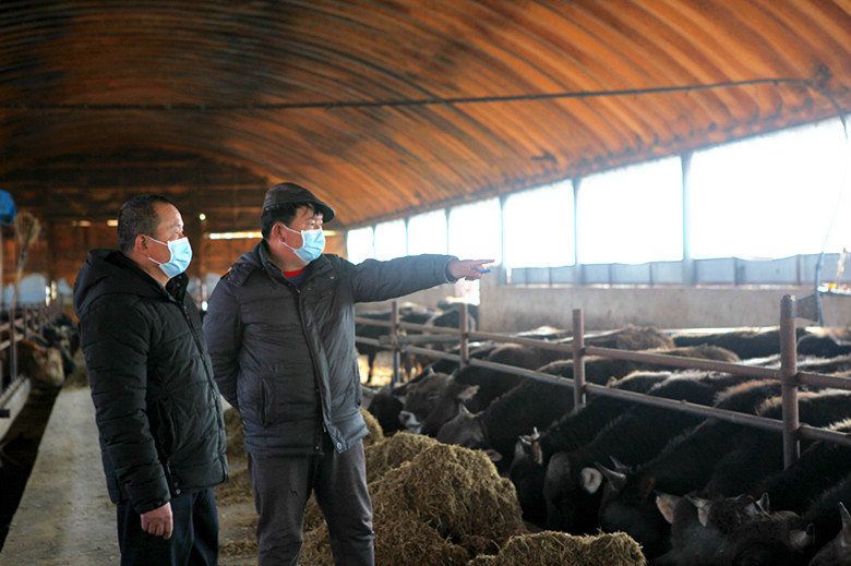 新疆生产建设兵团农四师七十五团,新疆兵团农四师七十团在哪里