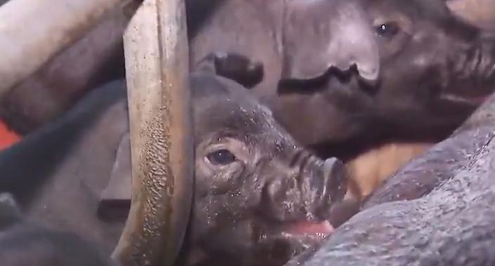 农村老汉嗜酒,农村大哥嗜酒如命