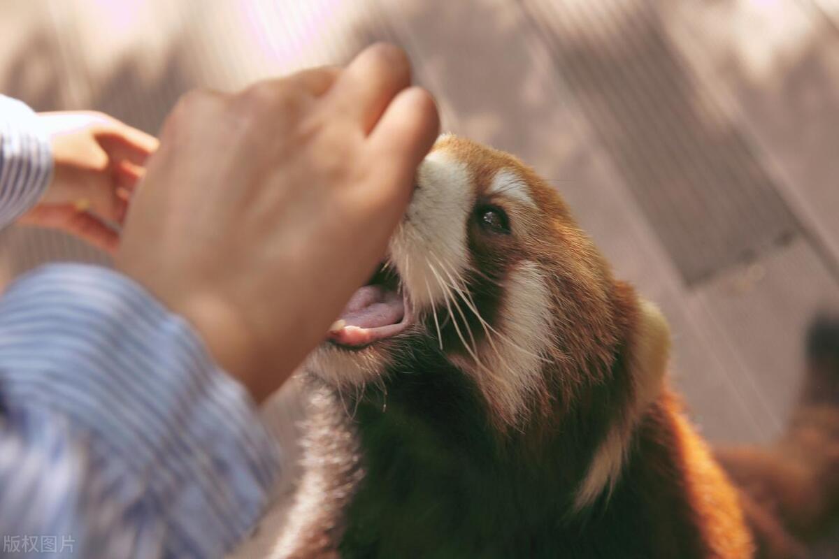 夏季旅游推荐3-4天游,夏天旅游攻略国内推荐3到4天