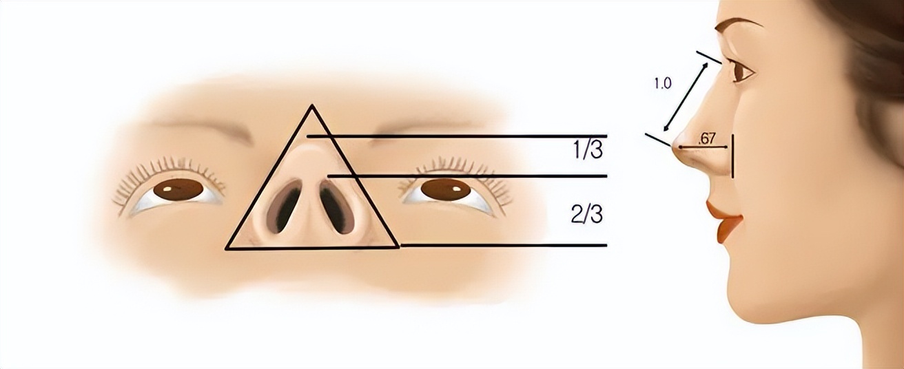 九院韦敏擅长做鼻头缩小,九院韦敏靠谱吗