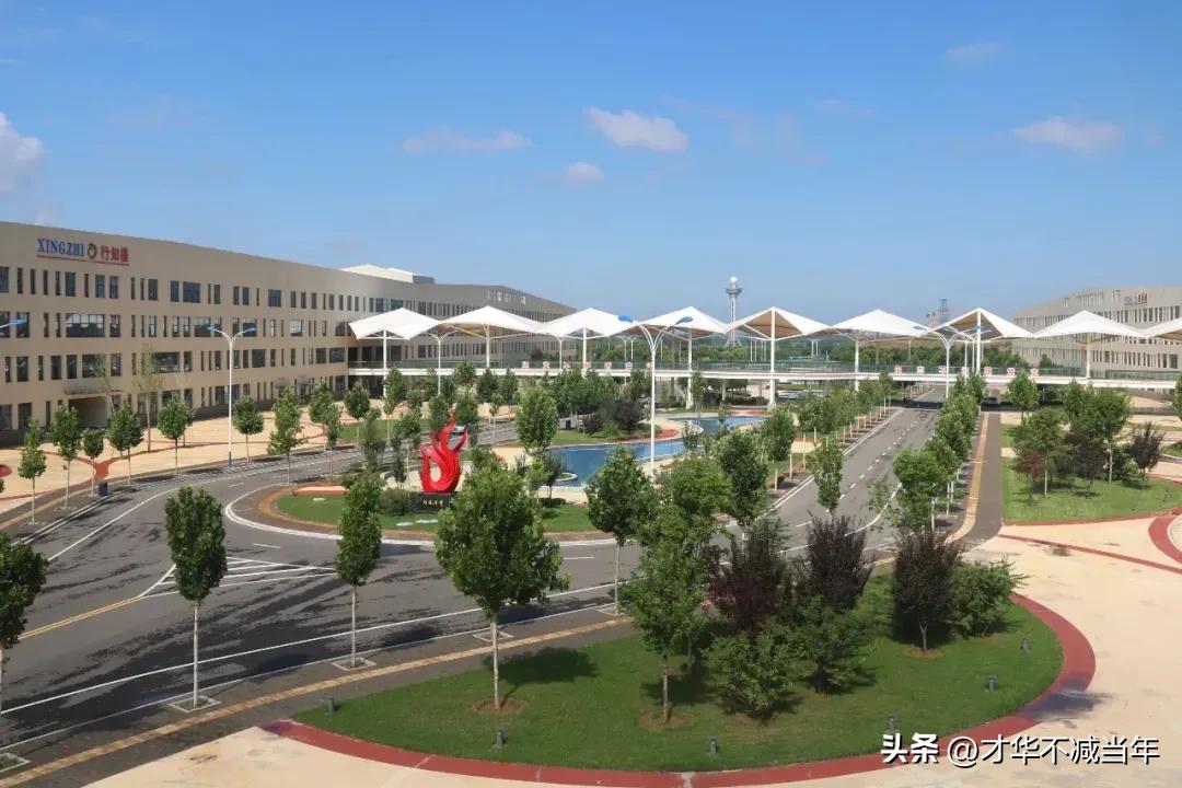 师范大学的五个档次,师范大学分怎么这么高