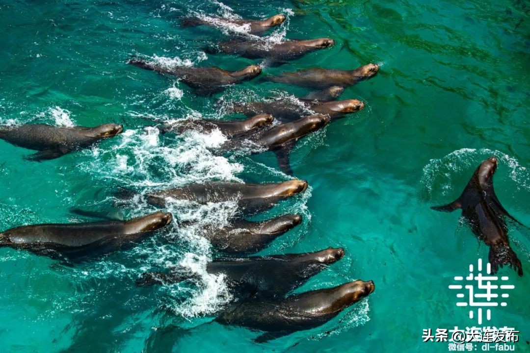 七天假期上哪玩儿,假期去哪儿玩这份攻略告诉你