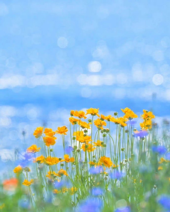 真正有福气的人都有以下几个特征,有福气的人身上往往有这四个特征