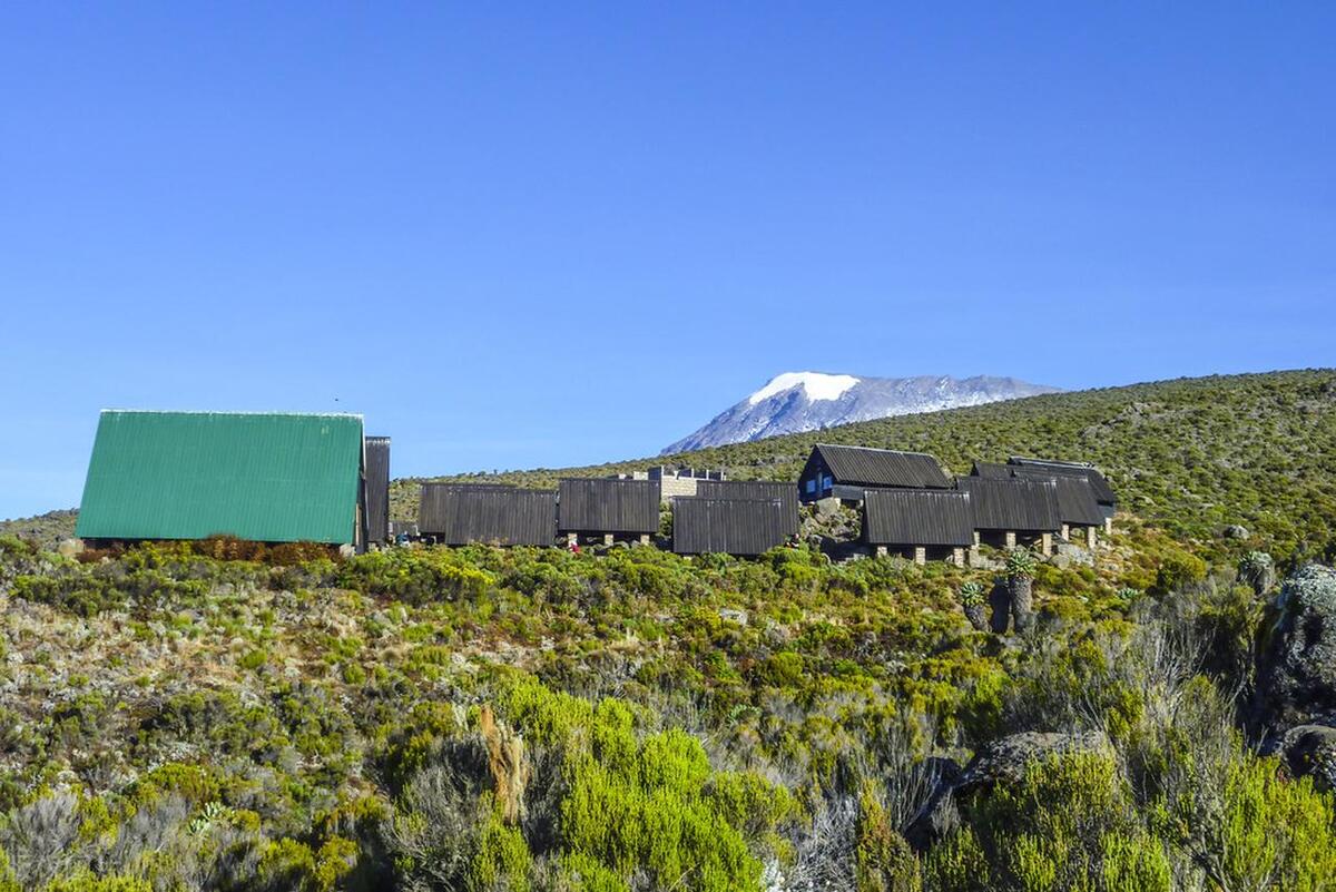 最出名的猫屎咖啡,什么猫屎咖啡最好
