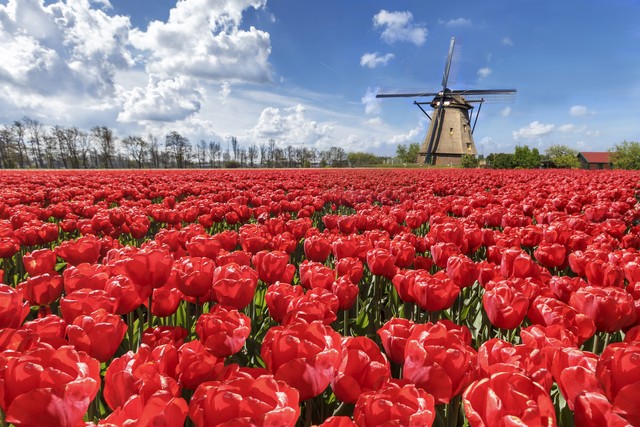 全国冬季最值得去旅游的10个地方,最适合去旅游的100个城市