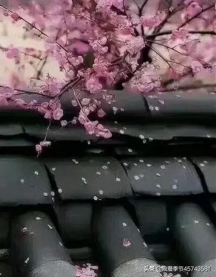 最美人间四月天散文,最美人间四月天的散文