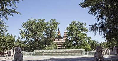 尽享贵阳大曲：绝佳品质、深厚文化、卓越服务