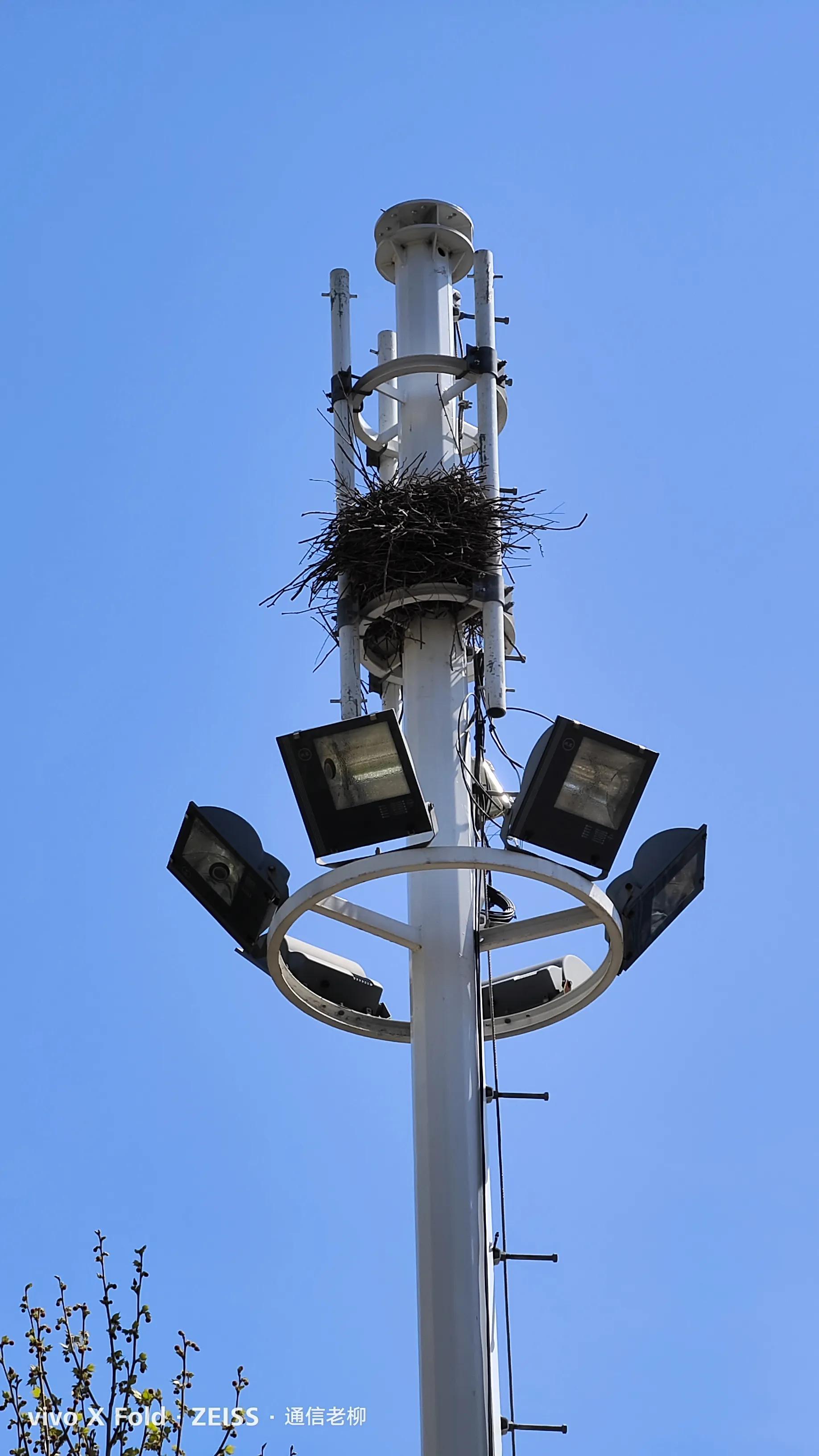 vivoxfold折叠屏手机怎么样,vivoxfold折叠屏手机值得入手吗