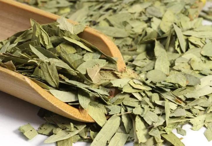 吃中药怎样避免肝肾损伤保护肝肾,中药引起的肝肾损伤会有什么症状