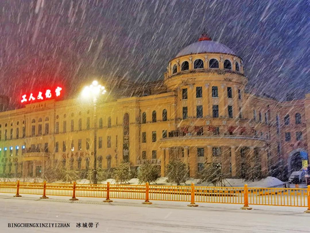 哈尔滨昨天的大雪,哈尔滨冬天的鹅毛大雪