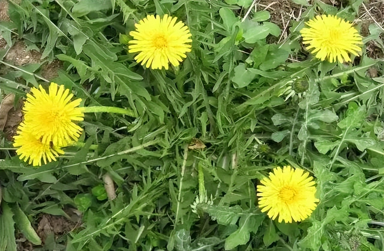 买买买！阿尔山邀你来体验海淘购物快乐！