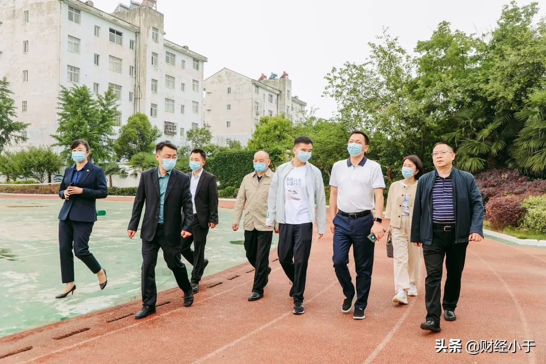 富德生命小海豚,富德生命人寿河北分公司小海豚