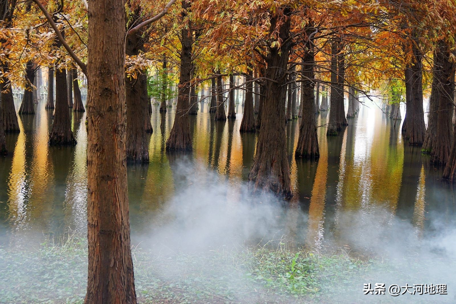 中国南方这30个景点,难说多知名,但敢说它的秋色最艳最浪漫