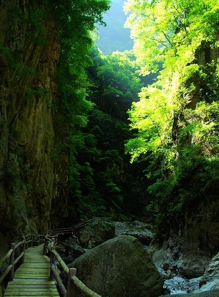 面对琐碎的生活依然热爱着生活,面对生活琐事要有最纯真的笑容