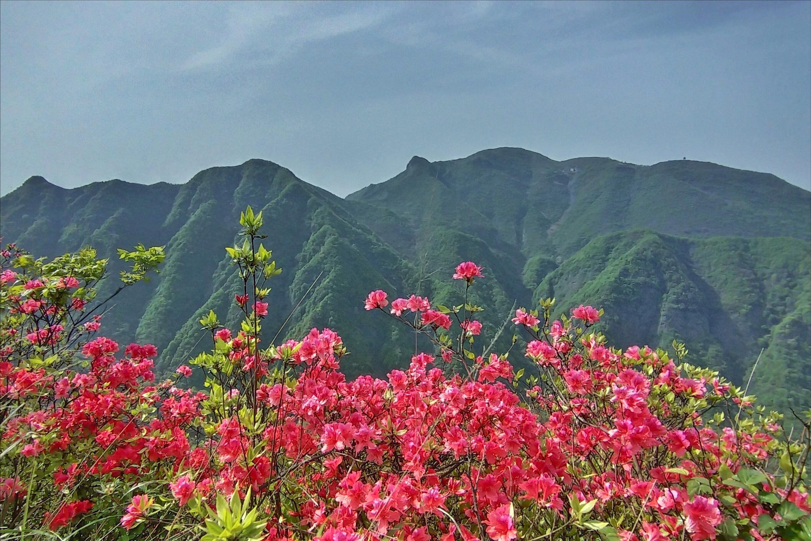 诗仙李白七言绝句,诗仙李白行路难七言绝句