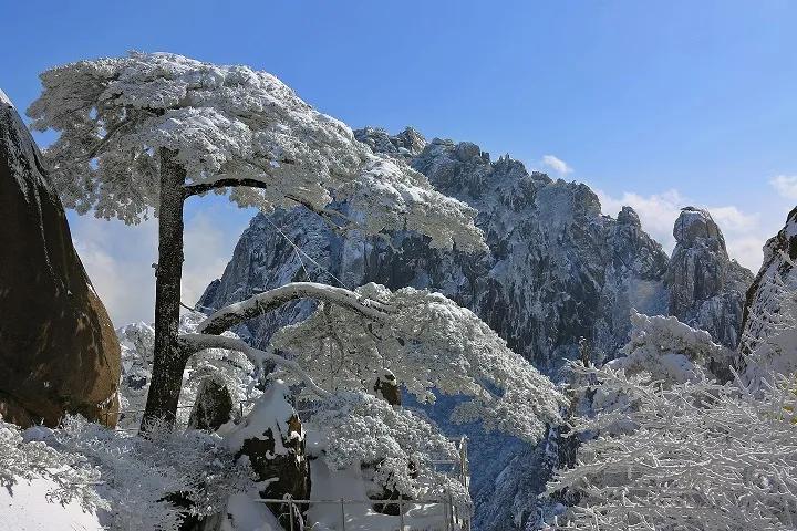 带你去看不一样的黄山之美,2020黄山旅游攻略带你玩转黄山