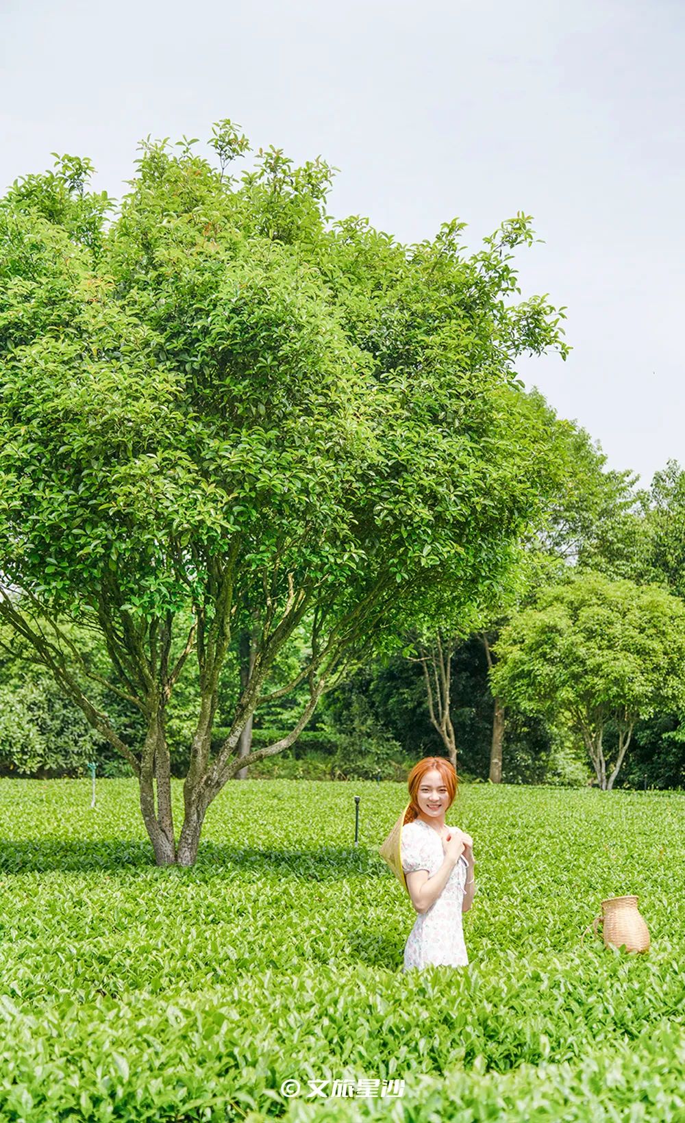 收藏附近吃喝玩乐,夏季长沙星沙吃喝玩乐攻略