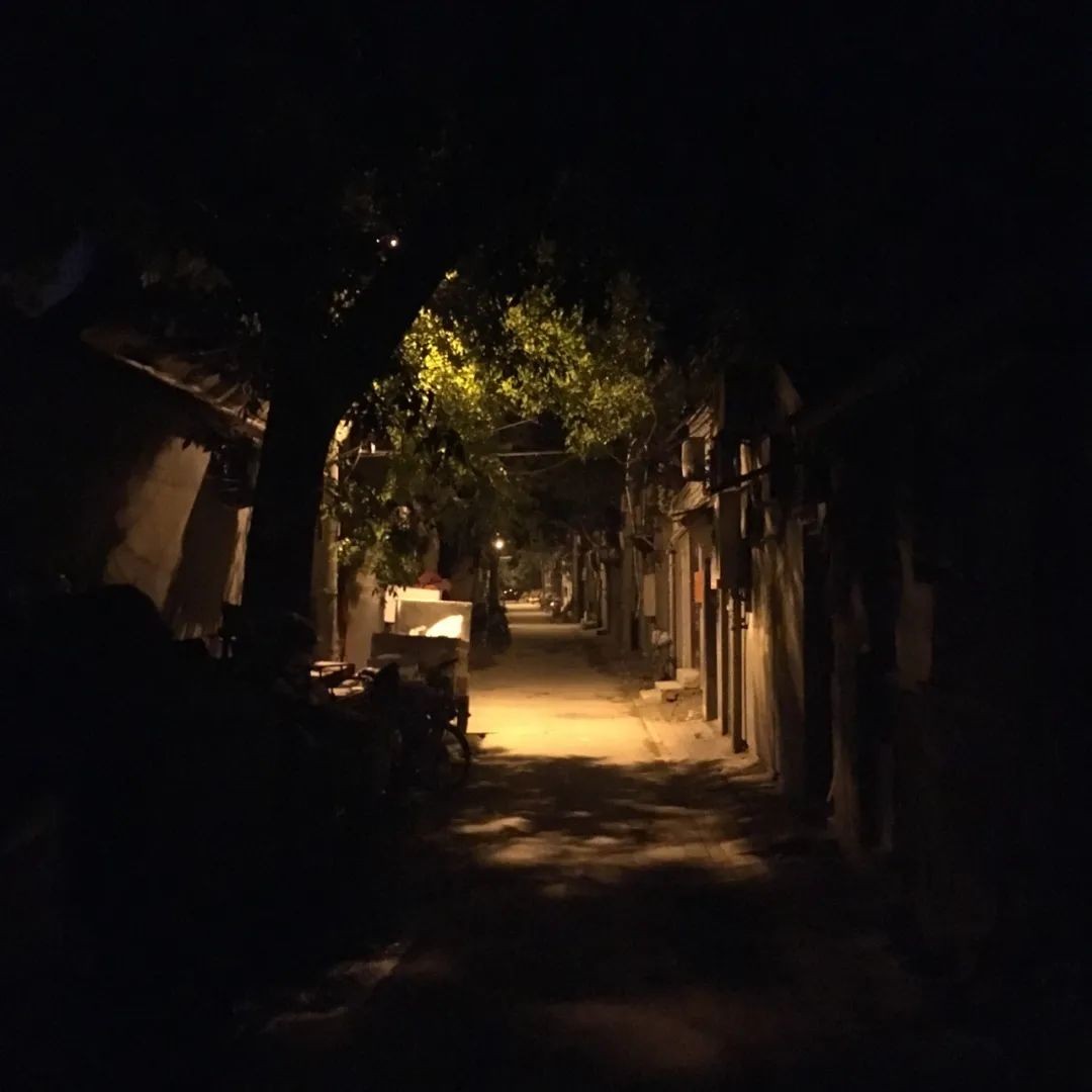 那些选择不租房、长住青旅的年轻人:有人攒钱买房,有人就此躺平