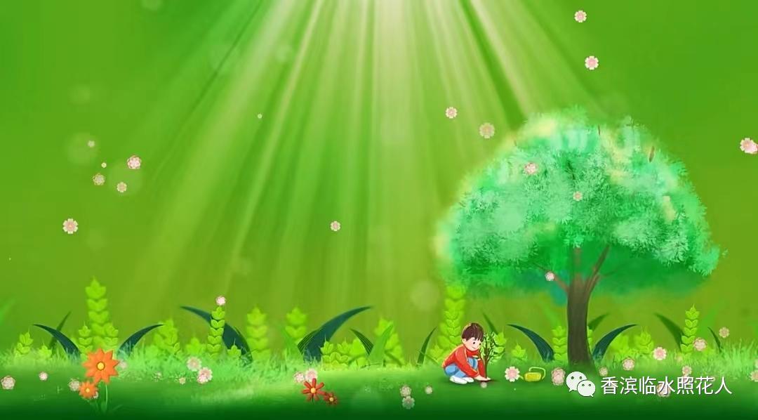 奋斗成就梦想作文议论文,奋斗成就梦想劳动创造幸福作文