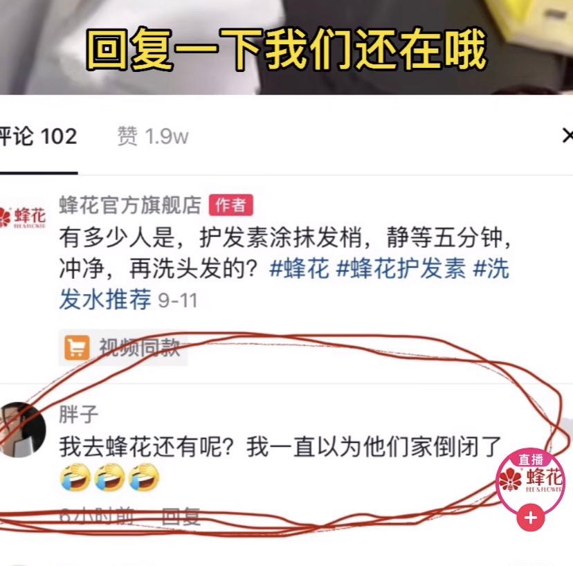 大熊猫丫丫被蜂花认养成功了吗,蜂花回应要认养熊猫丫丫