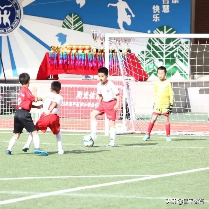 校园赛场青春激扬活力四射,推荐校园竞技