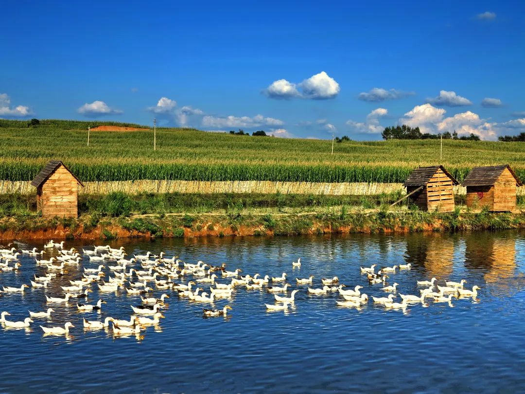 性价比超高的出行的地方,性价比更高最美景点推荐