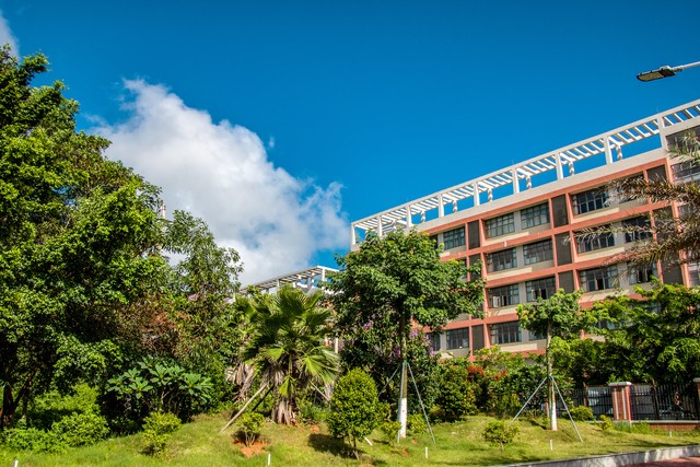 职高中专技校的区别,技校和职高有什么区别吗