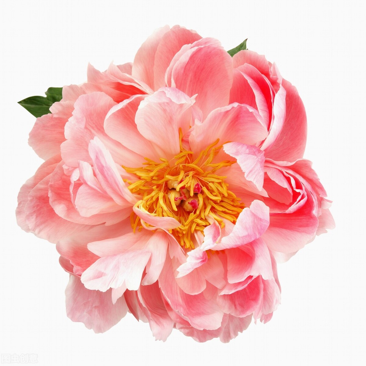 周星驰电影里内涵的台词,周星驰的电影中经典台词真的太多