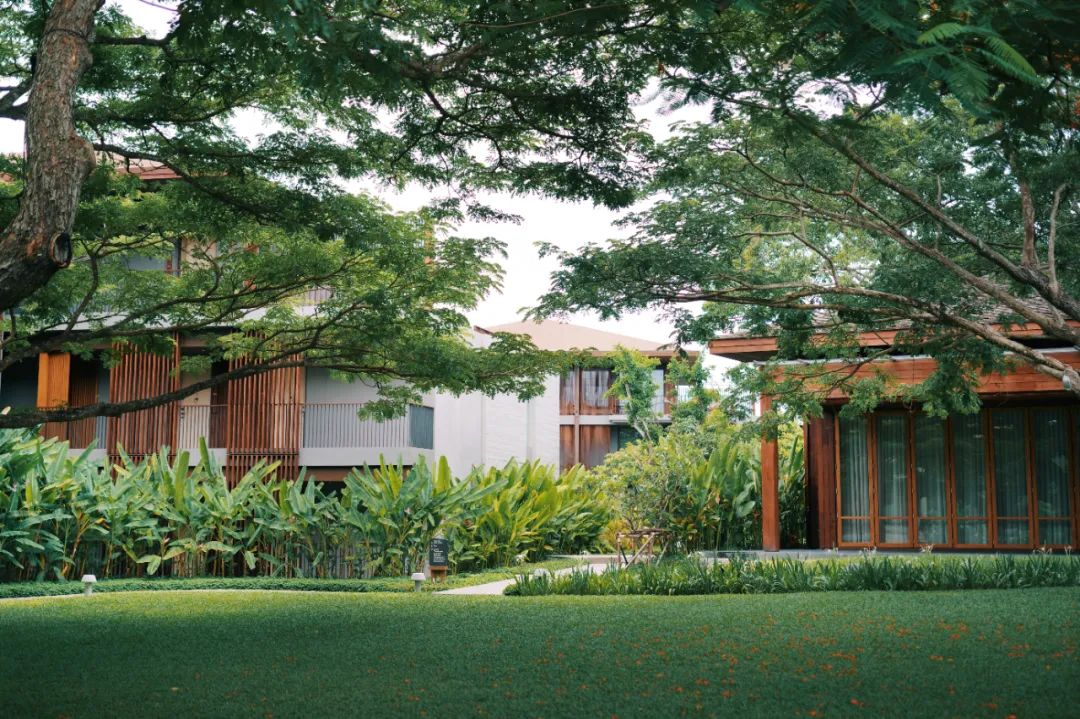 在泰国待了14天,在泰国待了60天