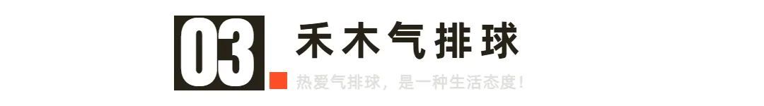 气排球超强扣球,气排球顶级发球