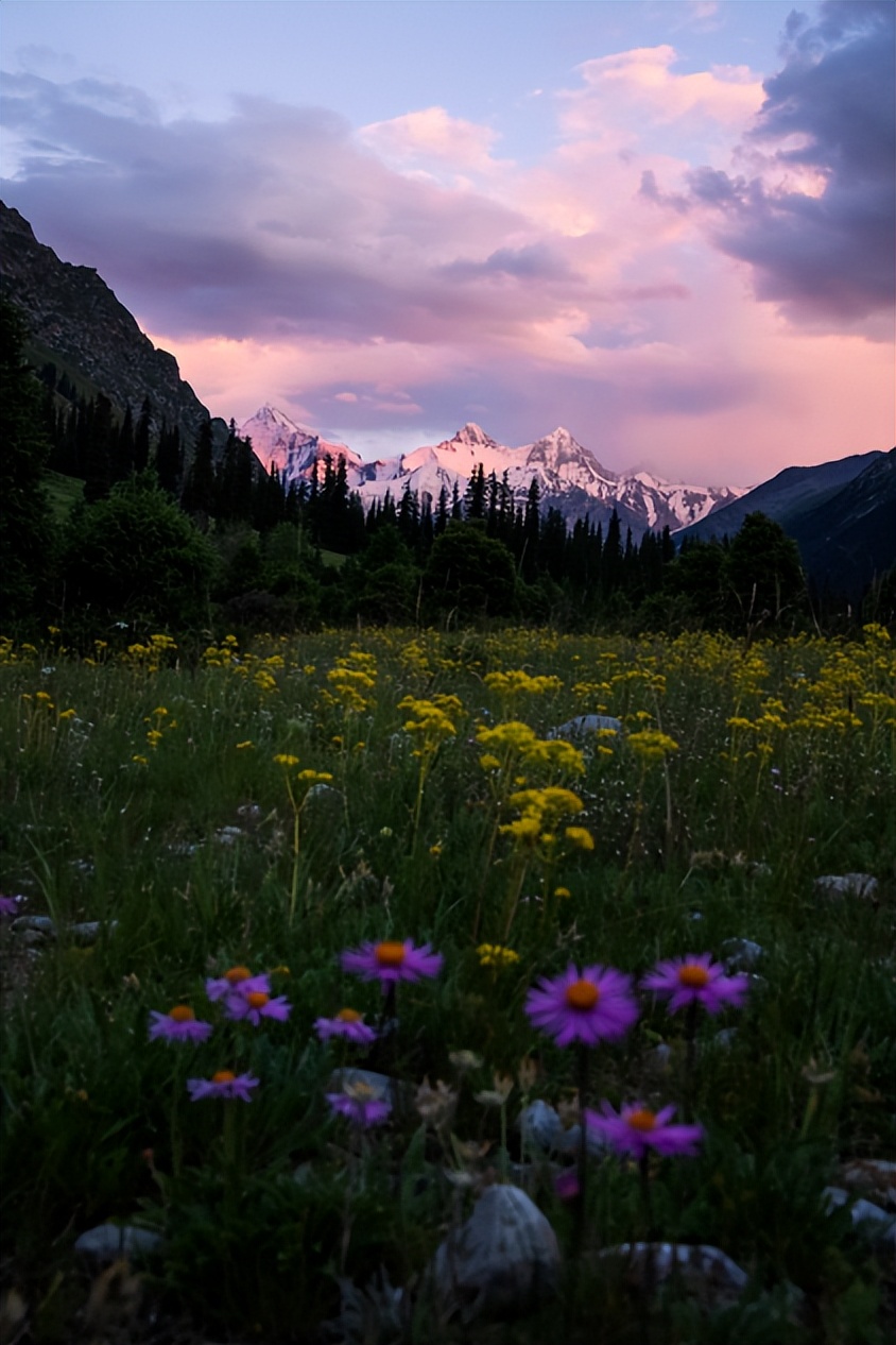 eosr6markii怎么拍照,eosr6markii追焦拍摄