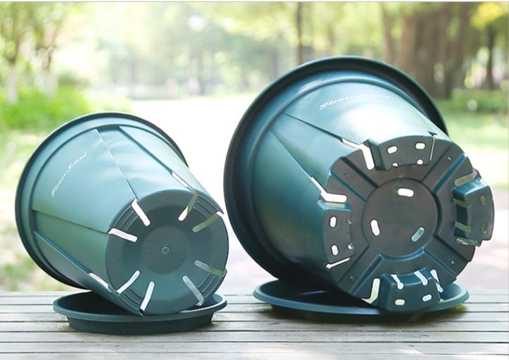 你给花草安的“家”舒心吗？