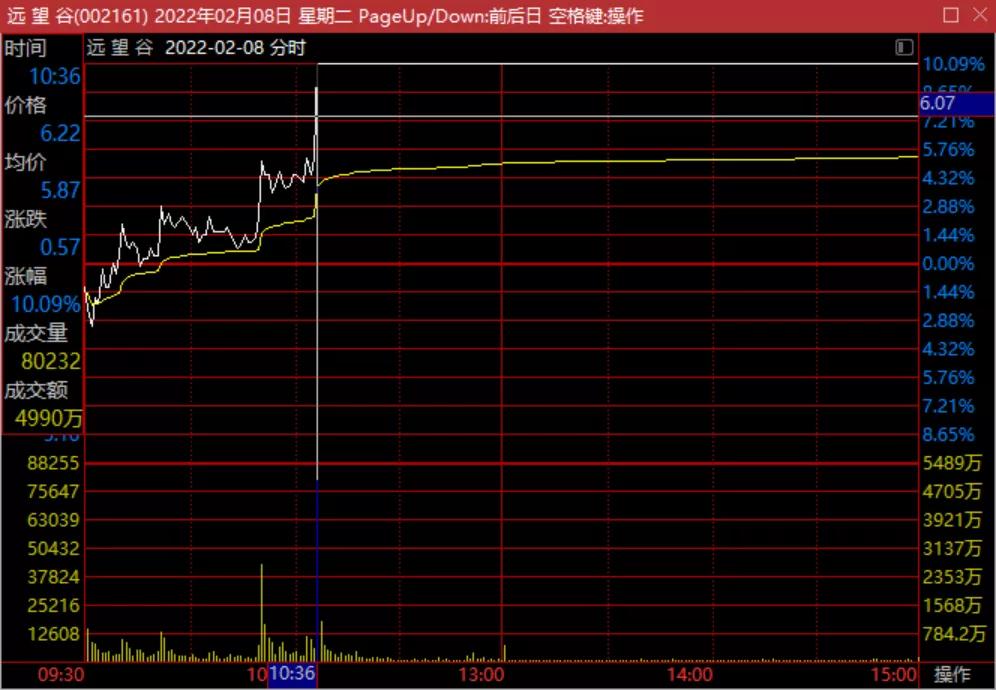 谷爱凌涨停,谷爱凌和股票有什么关系