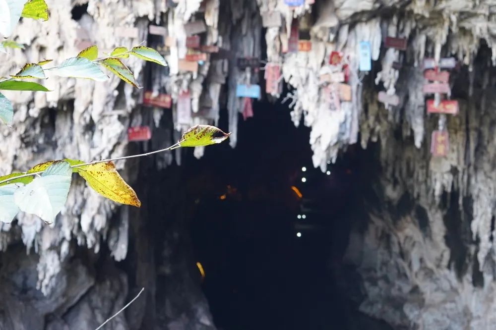 倒计时三天！参赛选手别忘了打卡领礼品