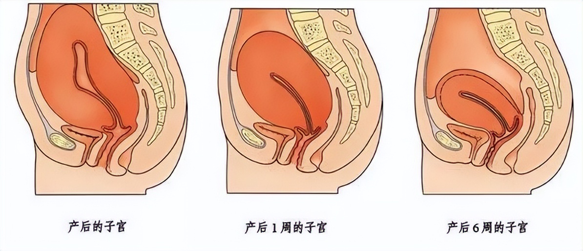 人生第一套房子完整视频,有关人生第一套房子的视频