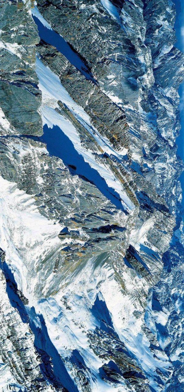 水井坊1号菌群,水井坊一号