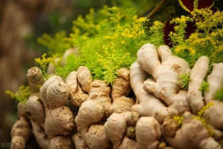 一坐车就“晕车”?教你3个方法,简单又有效,再也不怕晕车了