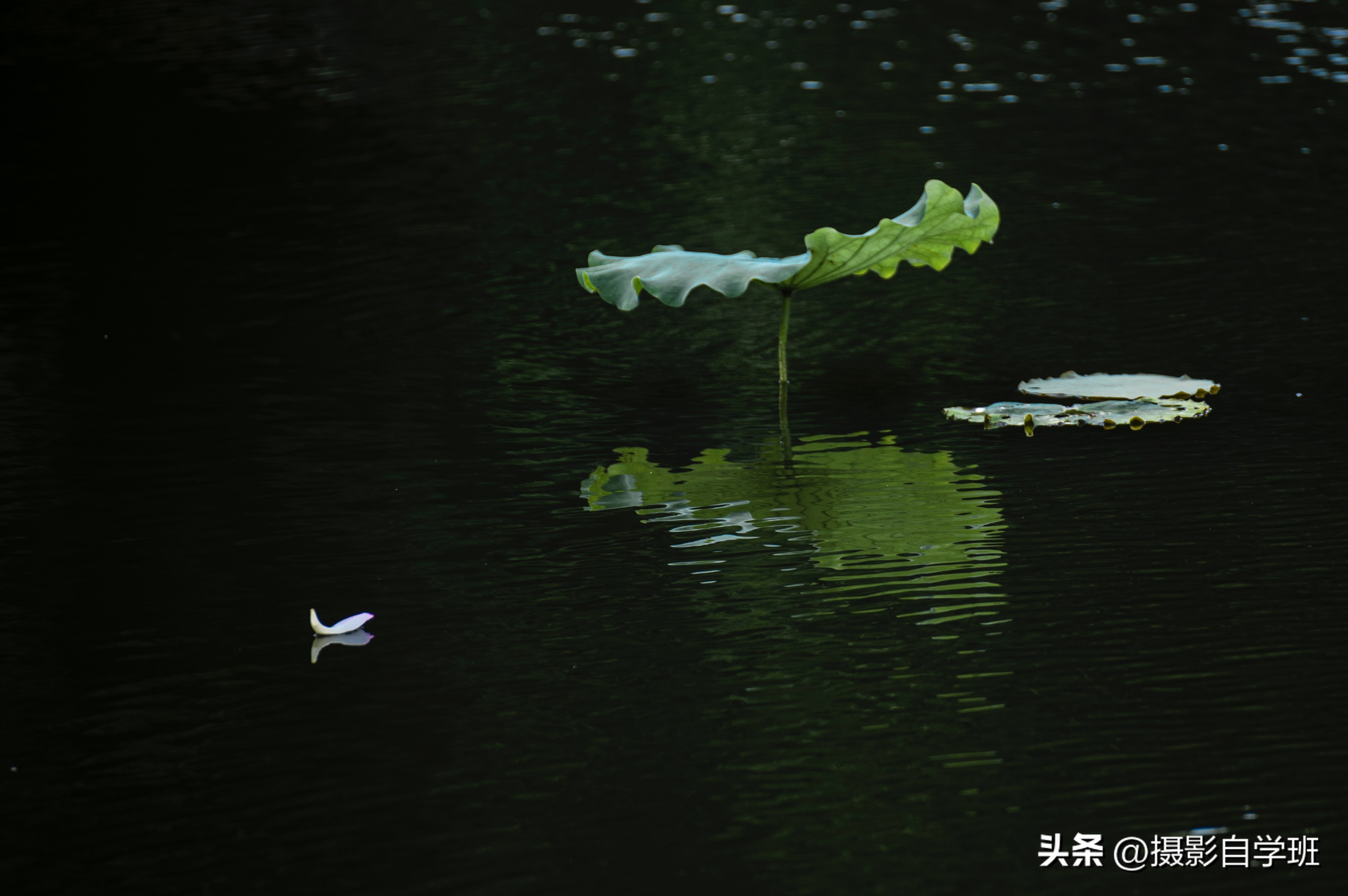 摄友投稿图片,摄友投稿旅行记录图