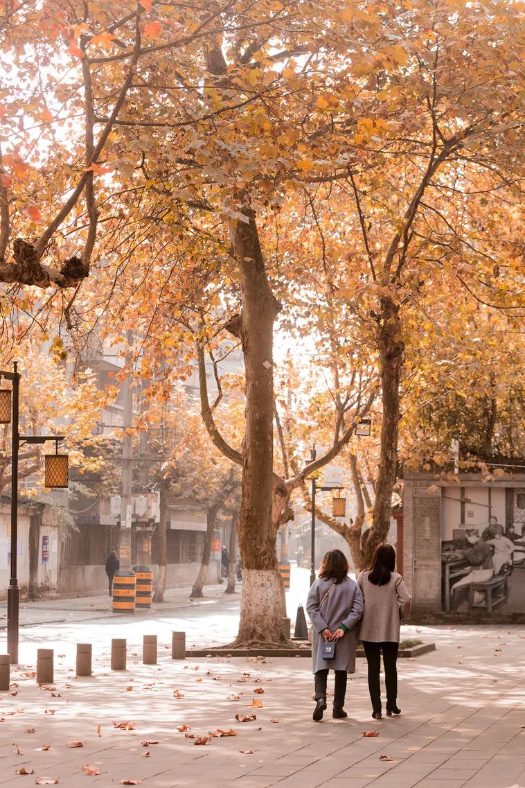 超安逸！水灵妹带你打卡都江堰6条烟火气十足的老街，告别喧嚣和浮躁，邂逅静美冬日~