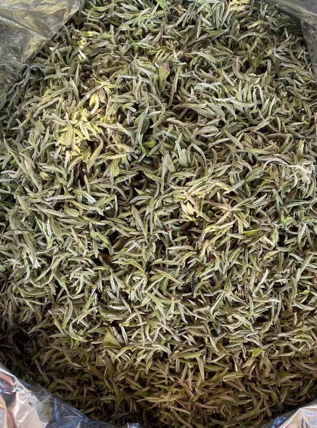 白牡丹福鼎白茶杀青吗,福鼎白茶制作时杀青吗