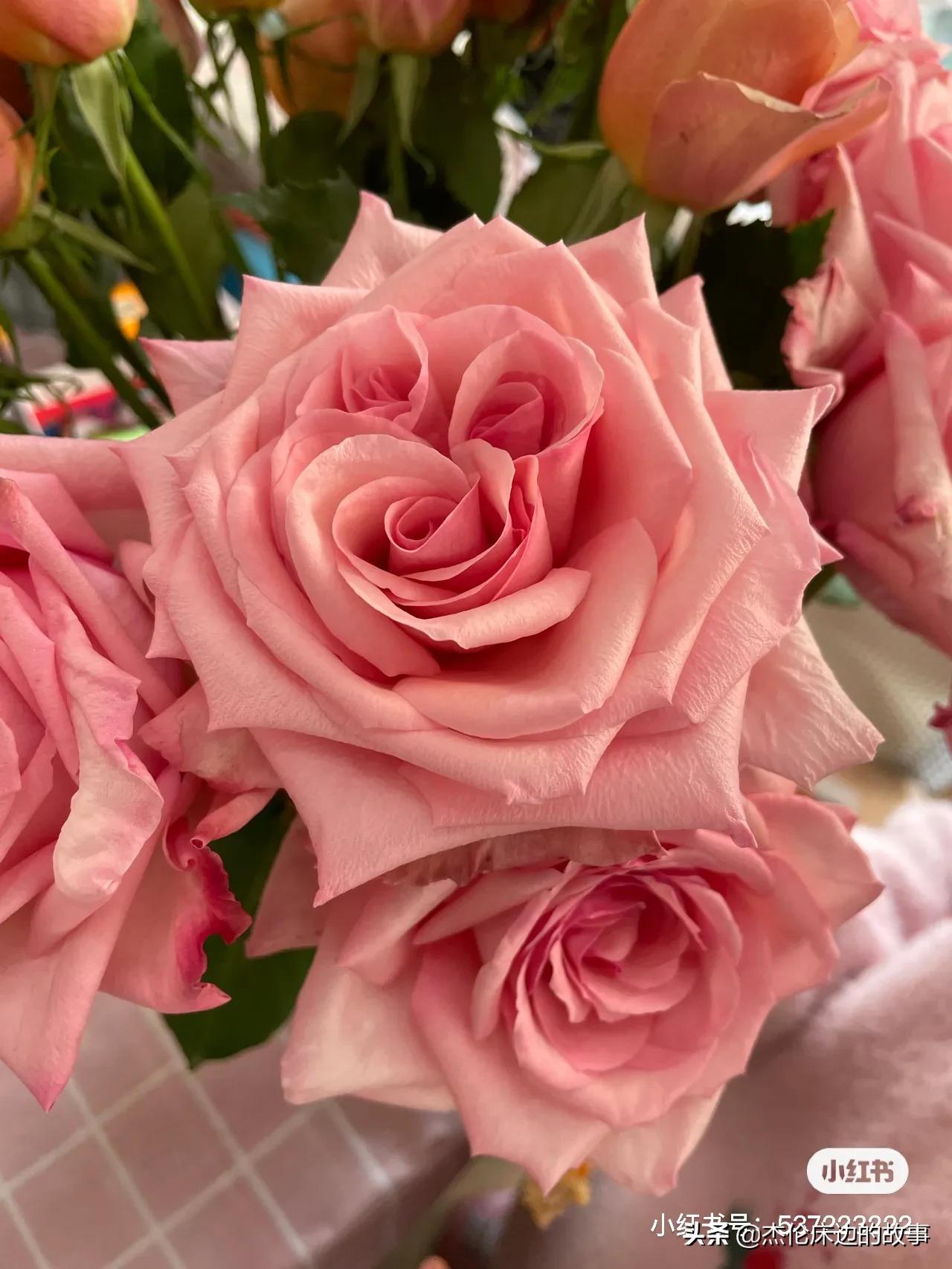 网上鲜切花怎么养护,最耐养的鲜切花