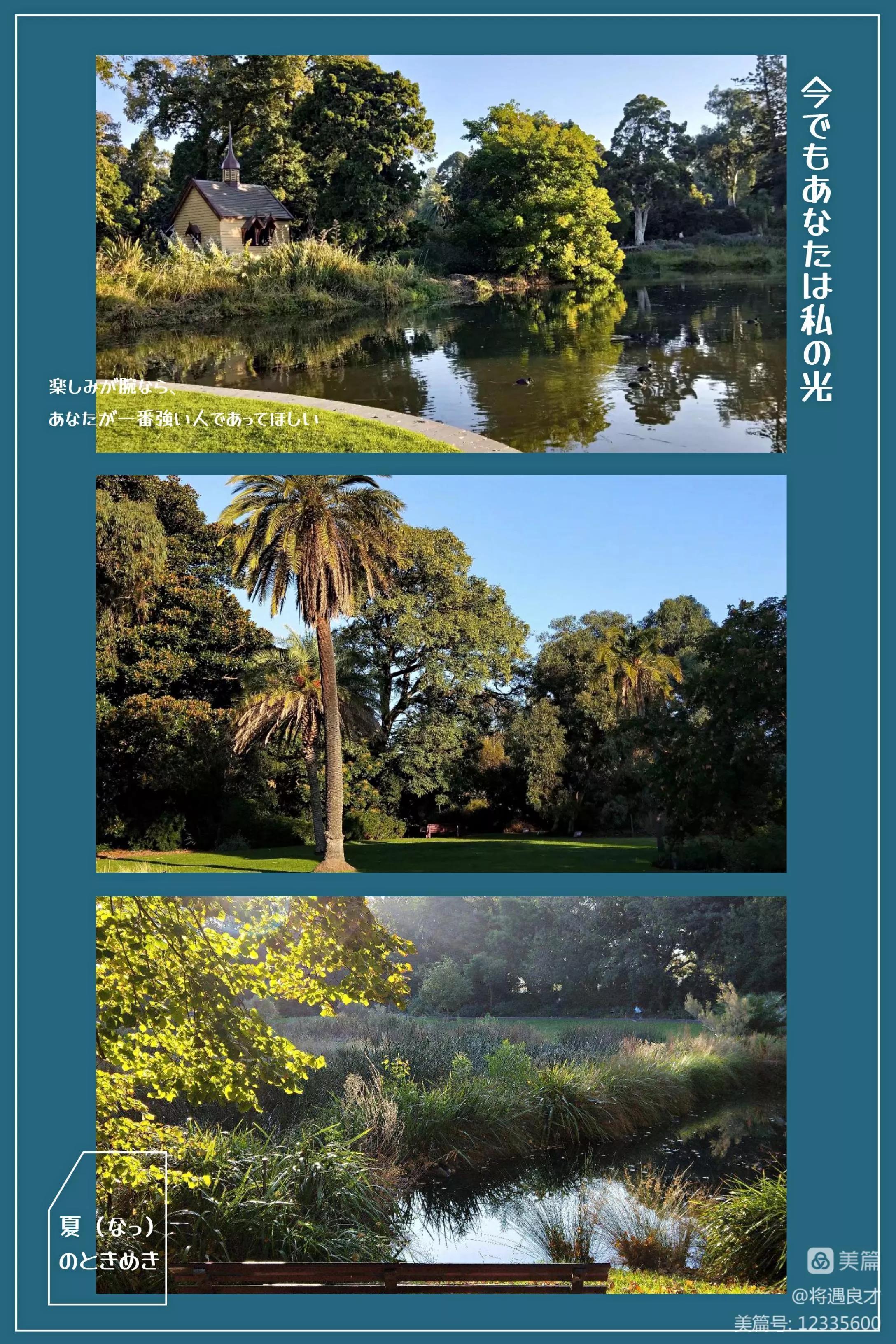 墨尔本旅游文化名城,游澳洲墨尔本