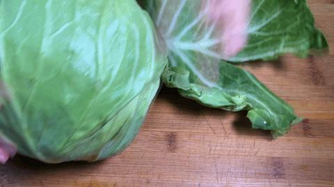 用圆白菜包肉馅做法大全,用圆白菜做菜包